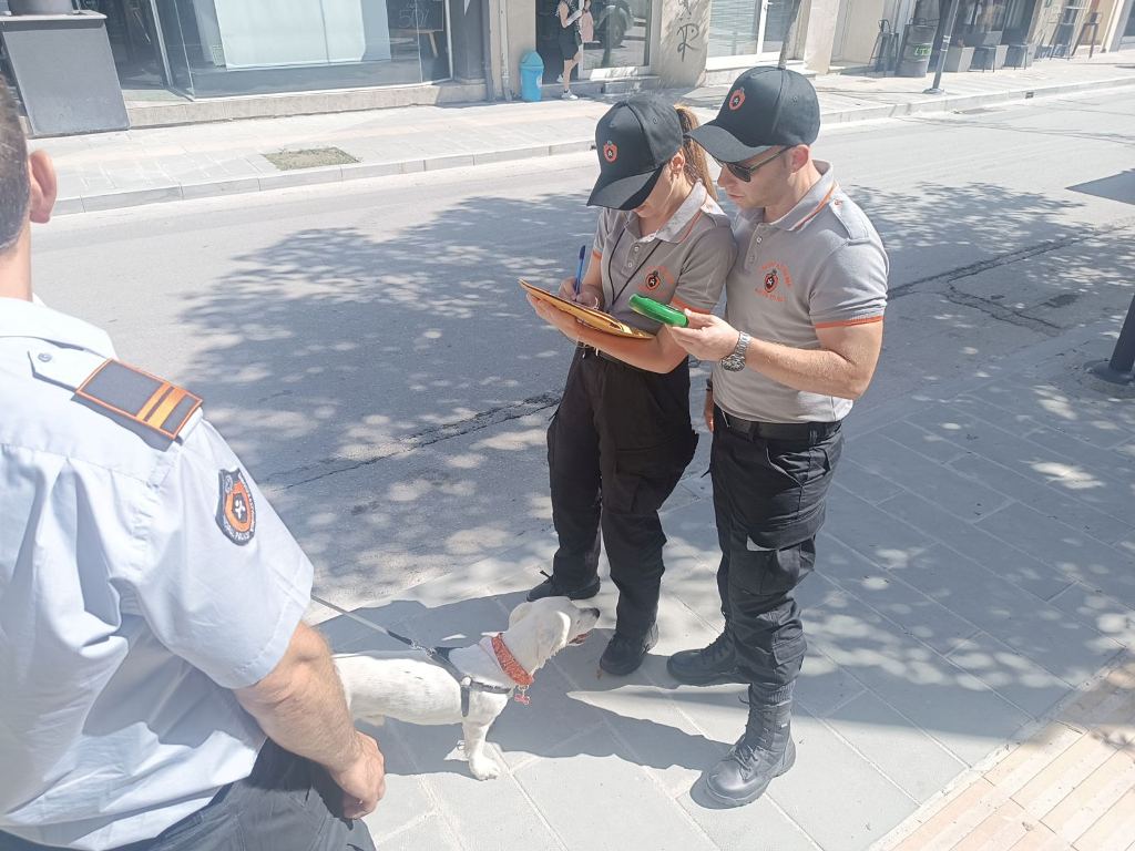 Εικόνα άρθρου