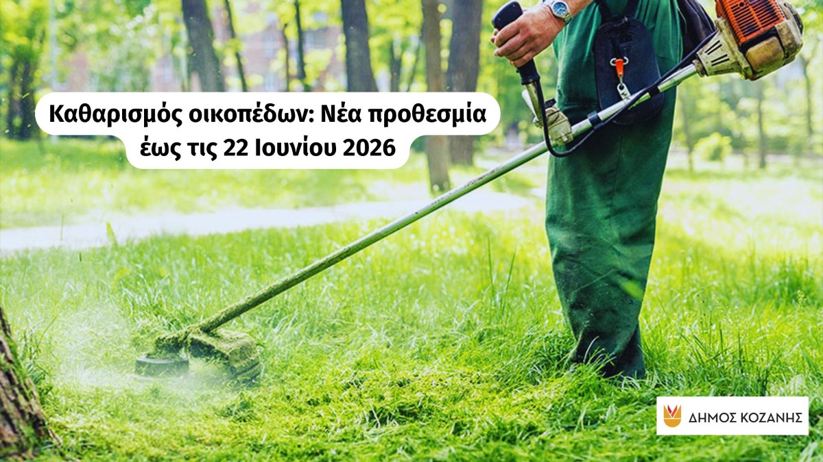 Εικόνα άρθρου