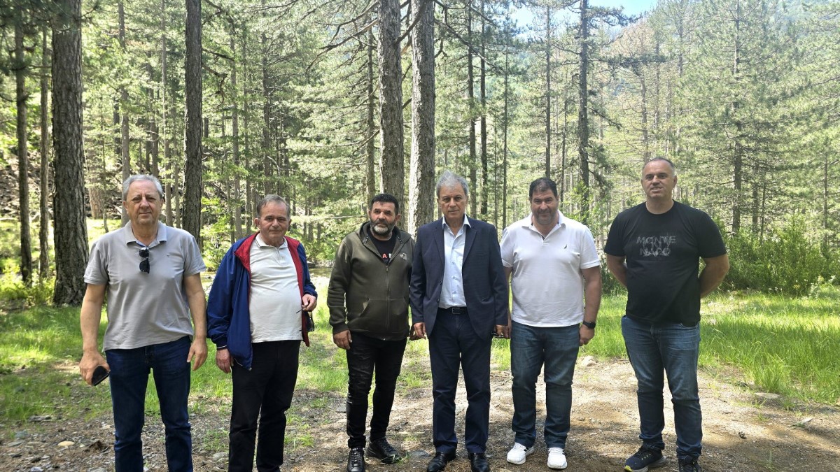 Pdm Grevena Oreinos Ogkos 062026 (11) (custom)