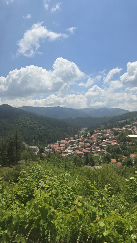 Pdm Grevena Oreinos Ogkos 062026 (14) (custom)