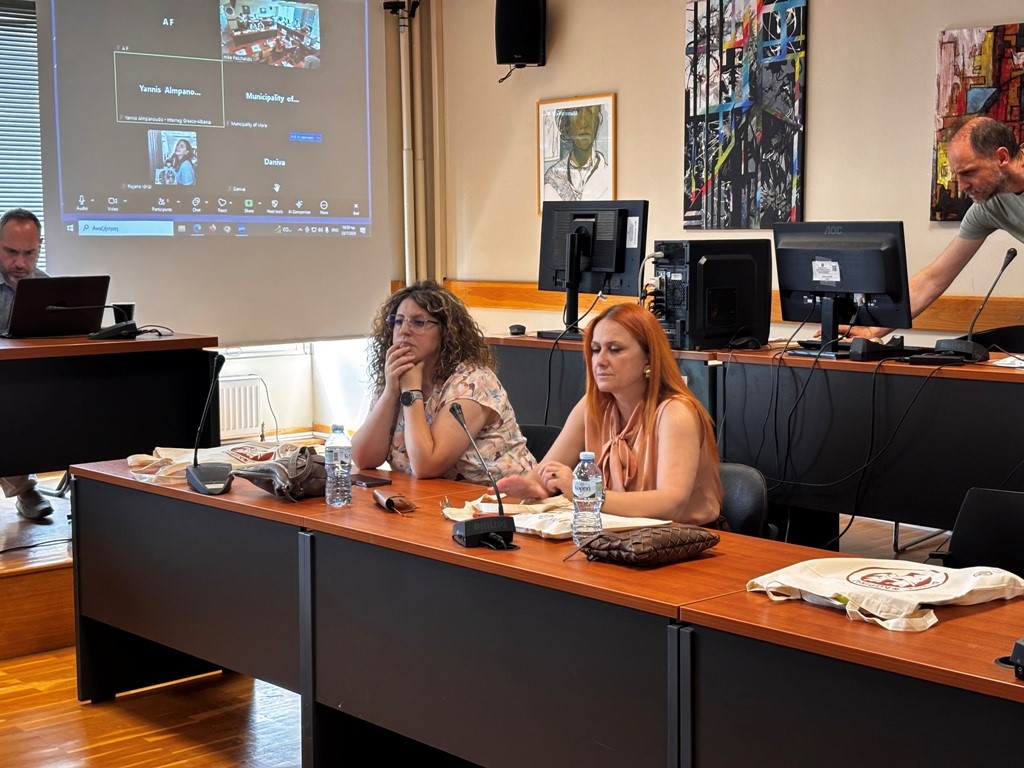 Smart Cities Florina (3) (custom)