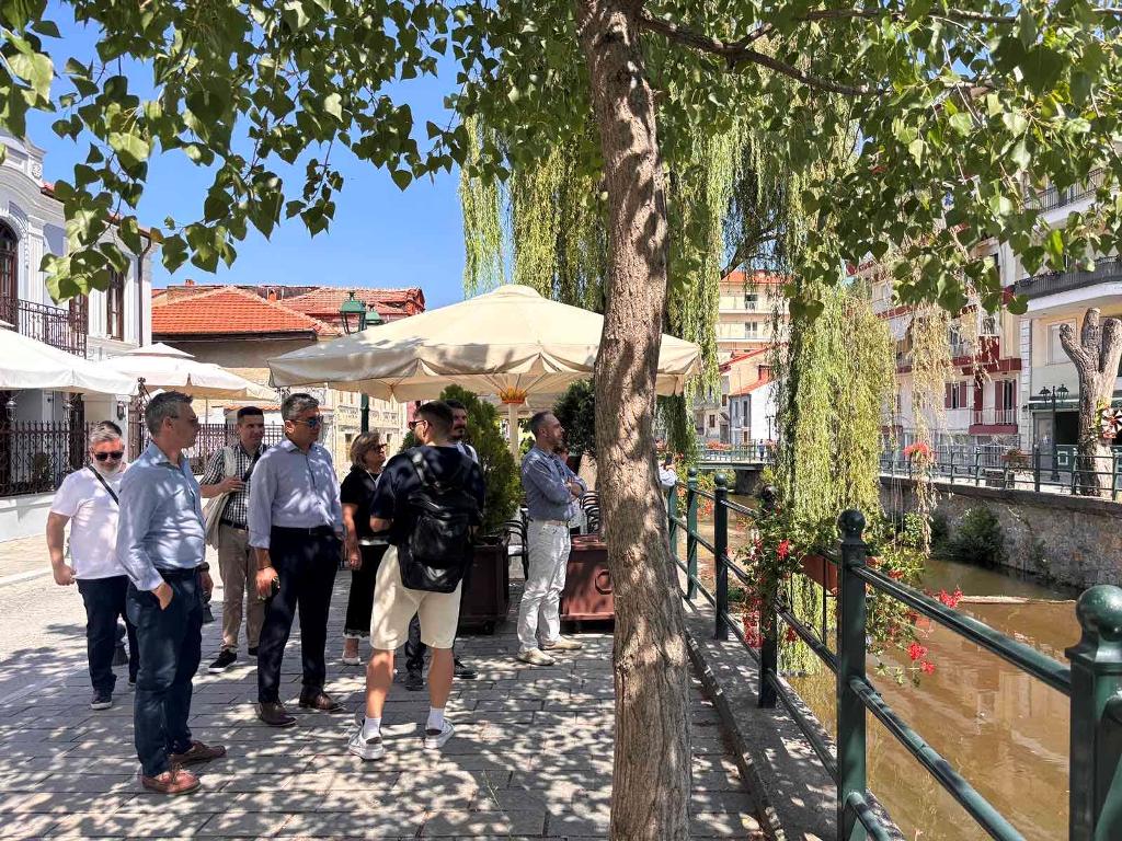 Smart Cities Florina (4)