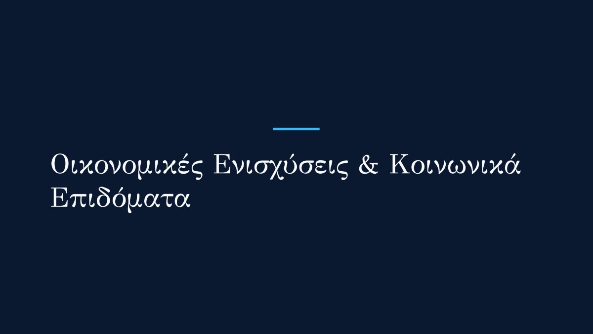 Απολογισμός Έργου ΠΑΠΑΣΩΤΗΡΙΟΥ ΑΝΑΛΥΤΙΚΟ 17 (custom)