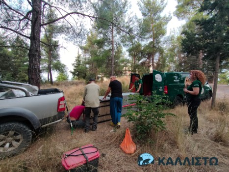 Εικόνα άρθρου