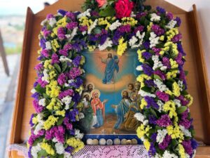 Εικόνα άρθρου