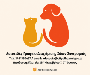 Εικόνα άρθρου
