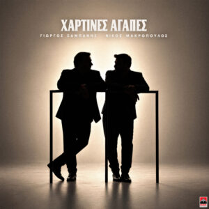 Εικόνα άρθρου
