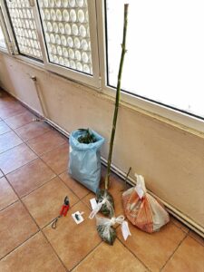 Εικόνα άρθρου