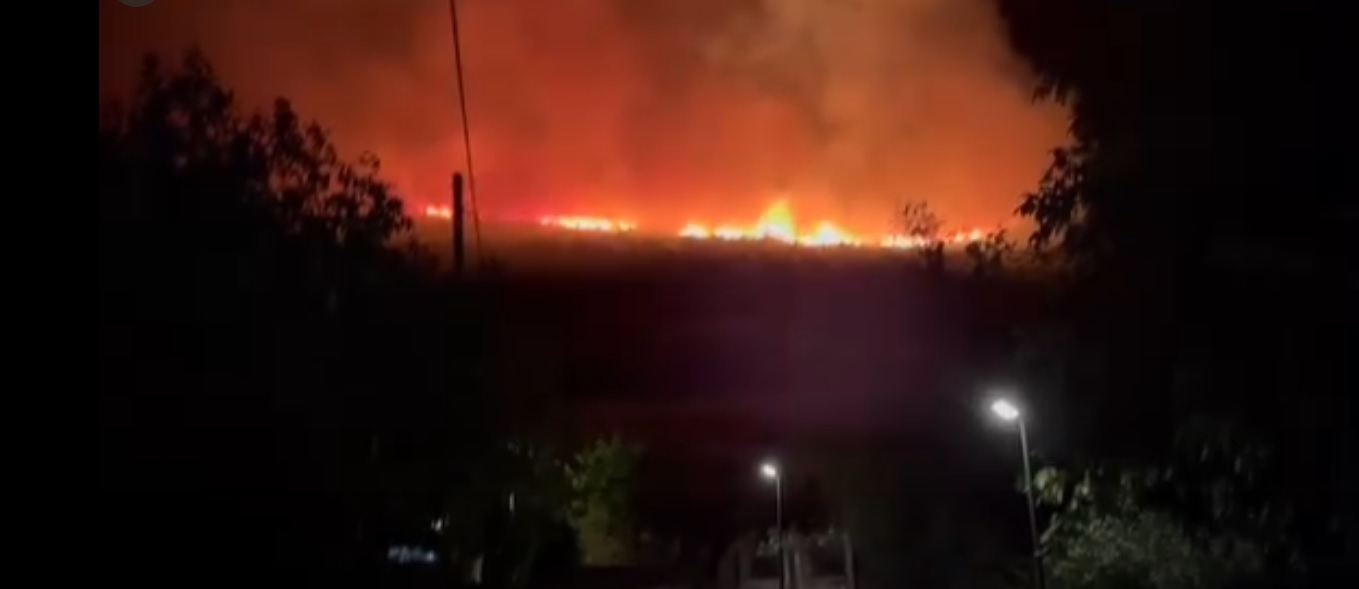 Εικόνα άρθρου