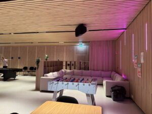 Oenef Islandia 102026 (8)