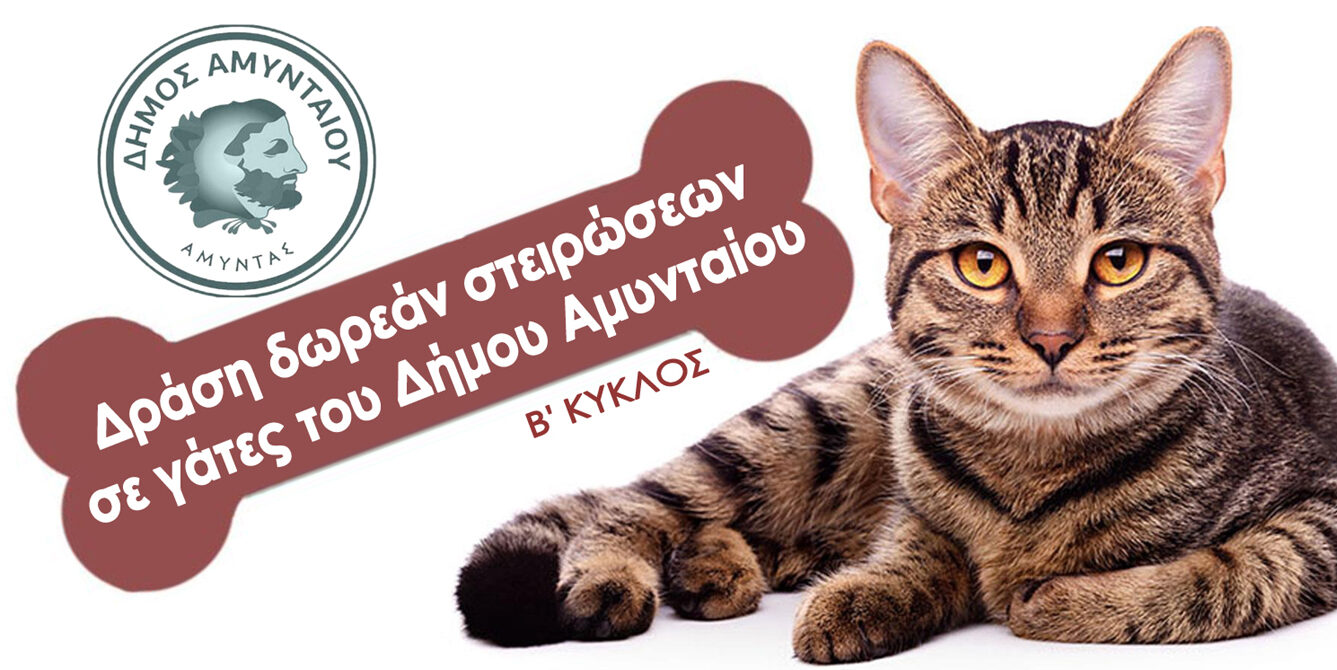 Εικόνα άρθρου