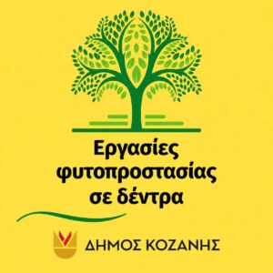 Εικόνα άρθρου