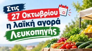 Εικόνα άρθρου