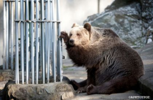 Εικόνα άρθρου